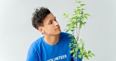 junger Mann mit blauen Volunteer-Shirt und Pflanze